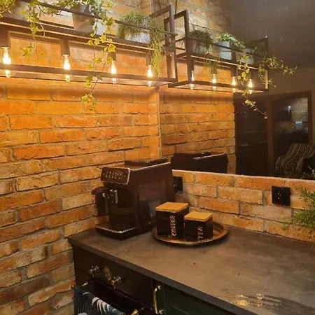 Апартаменты Nad Motlawa Luska Гданьск